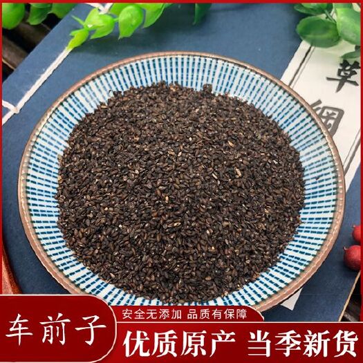 车前子  中药材 药用 干净无杂  实物拍摄 颗粒饱满 包邮