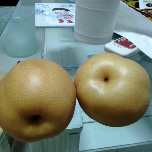 濮阳晚秋黄梨 库存晚秋梨，皮薄核小果肉细腻，甜度高，保存完好，无挤压碰撞