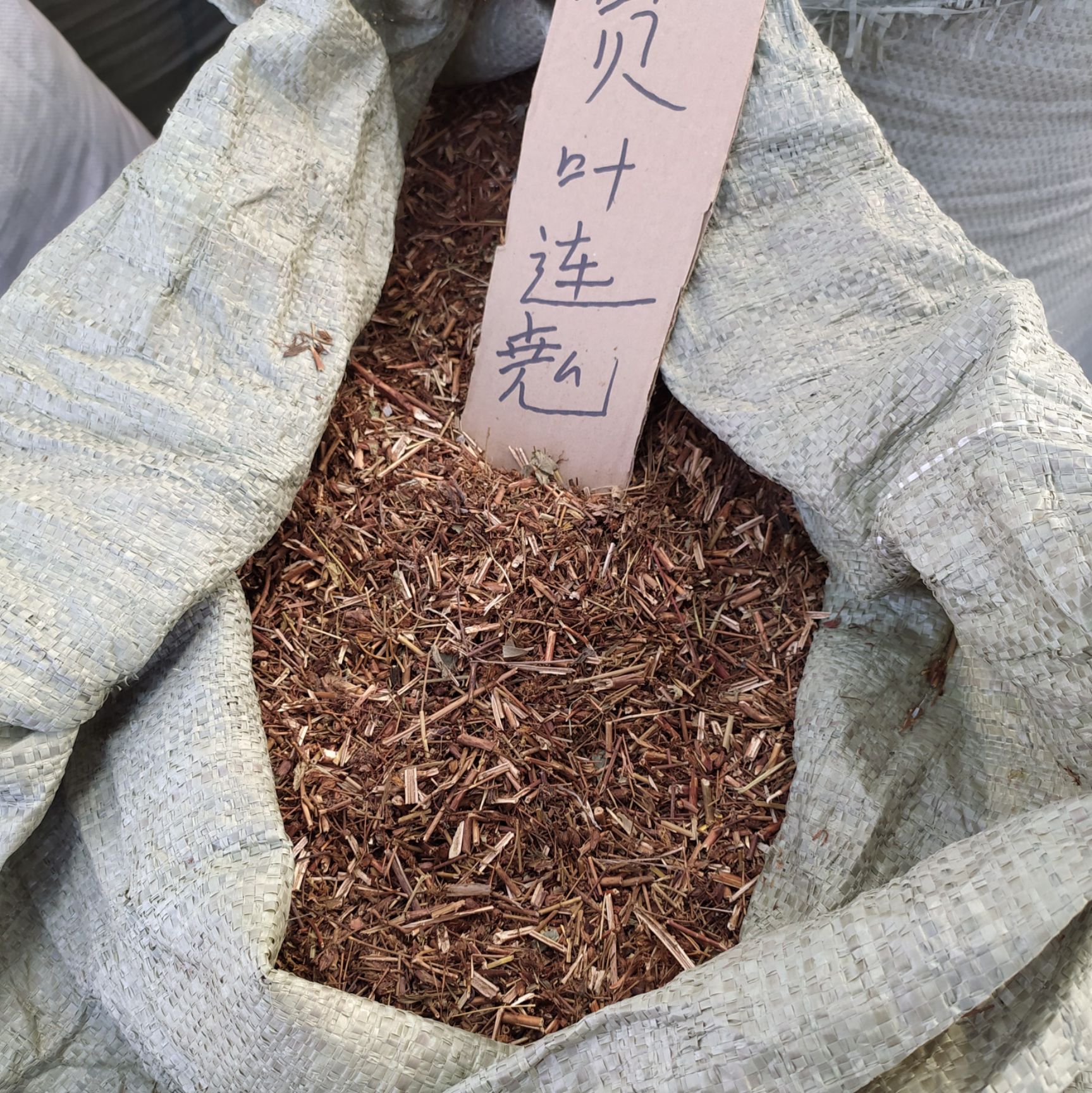 贯叶连翘