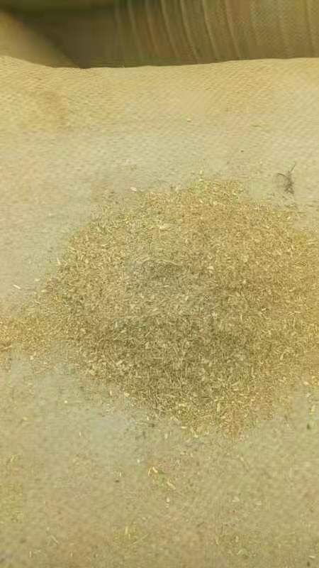 鸡鸭饲料  花生秧细粉无土无膜无霉变质量保证