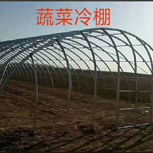 天津蔬菜大棚 