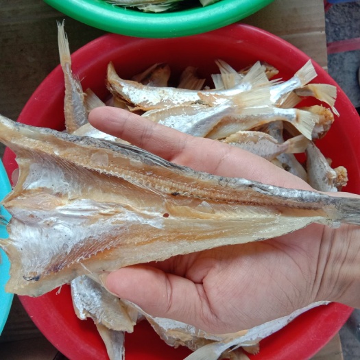 柴鱼干  咸鱼柴鱼丁片咸鱼干
