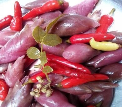 泡菜  爱心助农湖北洋荷
