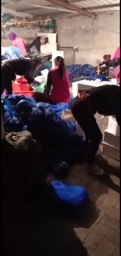  盘锦河蟹大量批发，各种规格