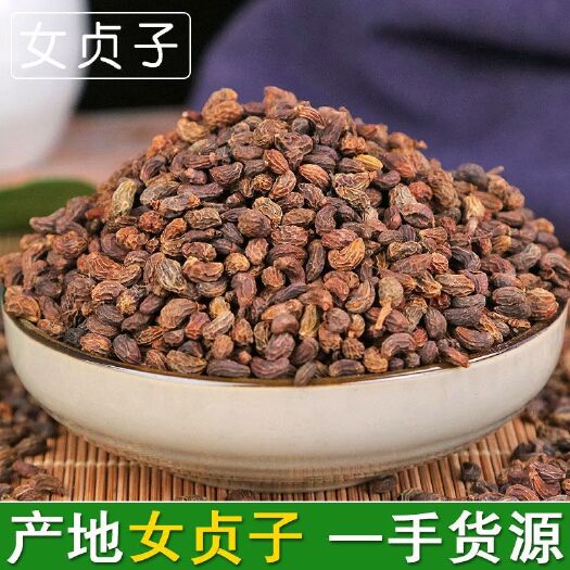 女贞子 无硫净货新货女贞子 可供大货 量大从优