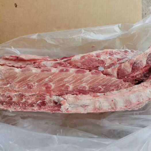 郑州猪排骨 背骨