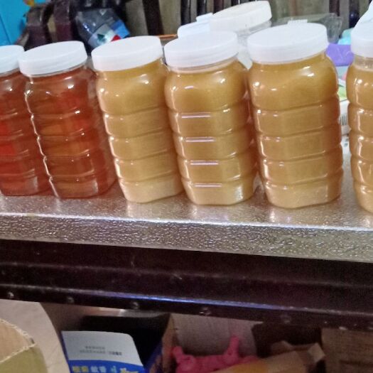 广州 鸭脚木冬蜜，百花蜜