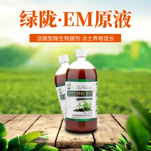 诸城市种植EM菌液  种植专用益生菌菌种生根防病微生物菌剂改良土壤