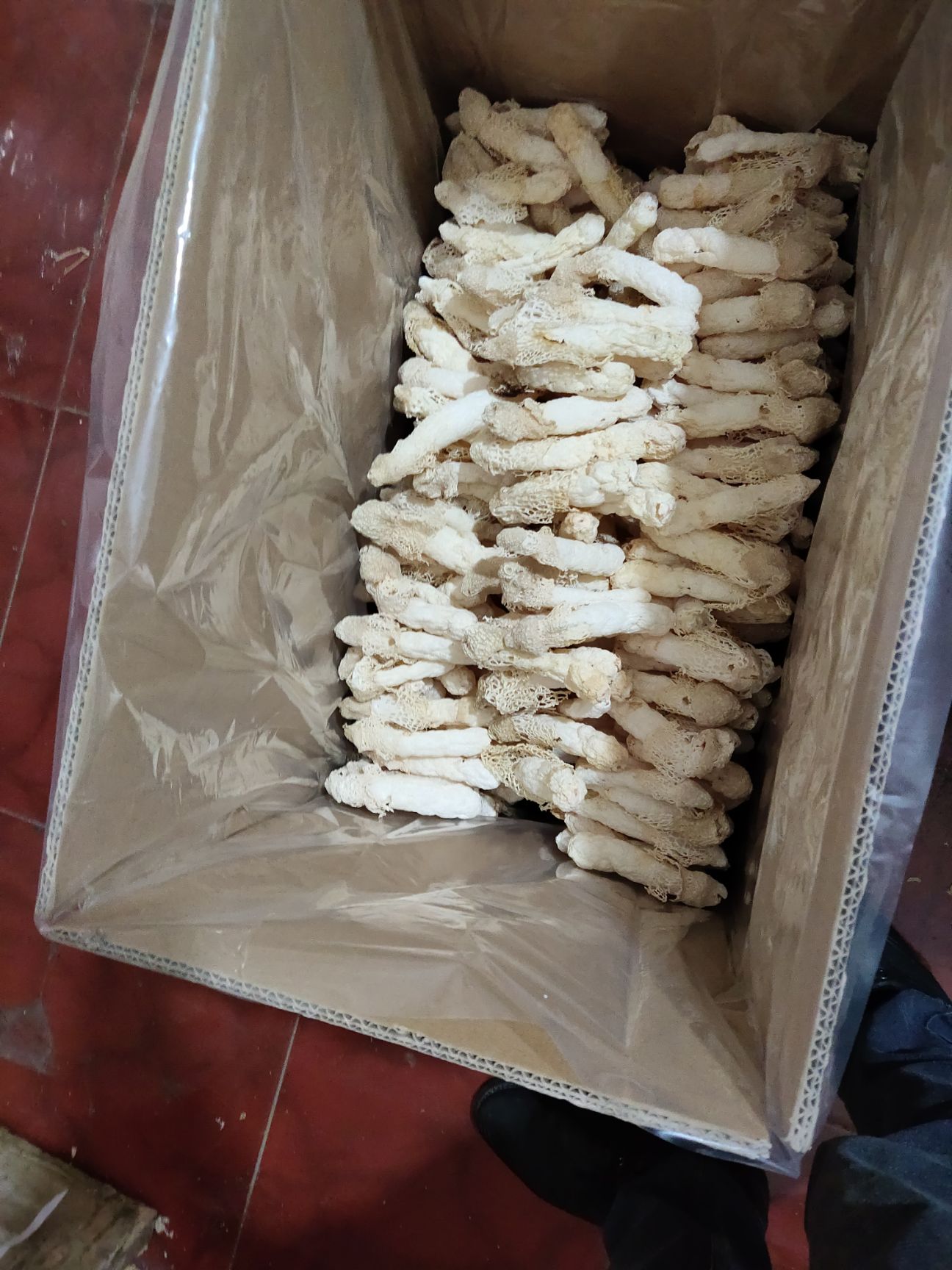 织金竹荪  贵州竹荪A 8－12cm精选高质量香荪上下一致