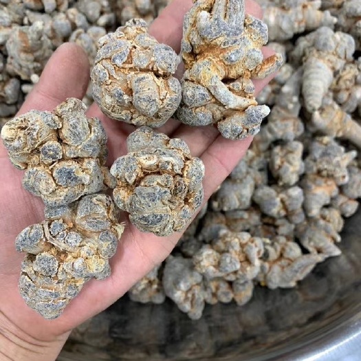文三七  正中云南大个头五年带帽三七一袋一斤价格便宜量大优惠包邮