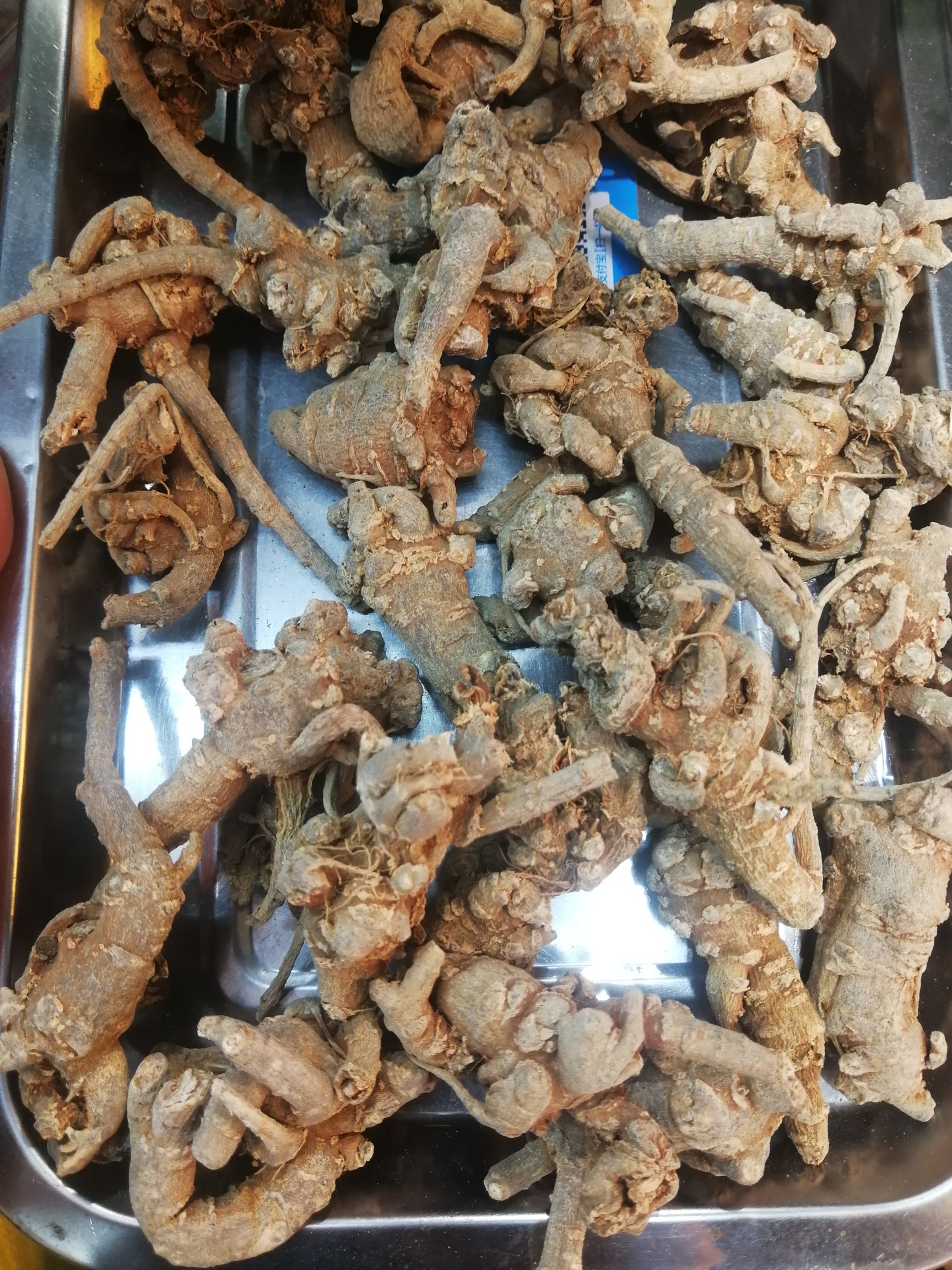 文三七  全枝27头