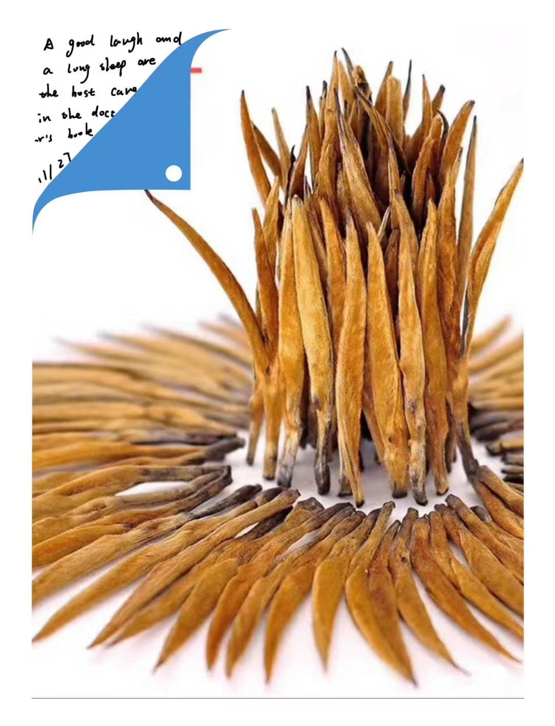 云南滇红  滇红大金针