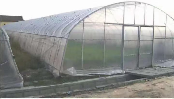 天津种植大棚 养殖大棚 大棚配件齐全 厂家直销 质量保证