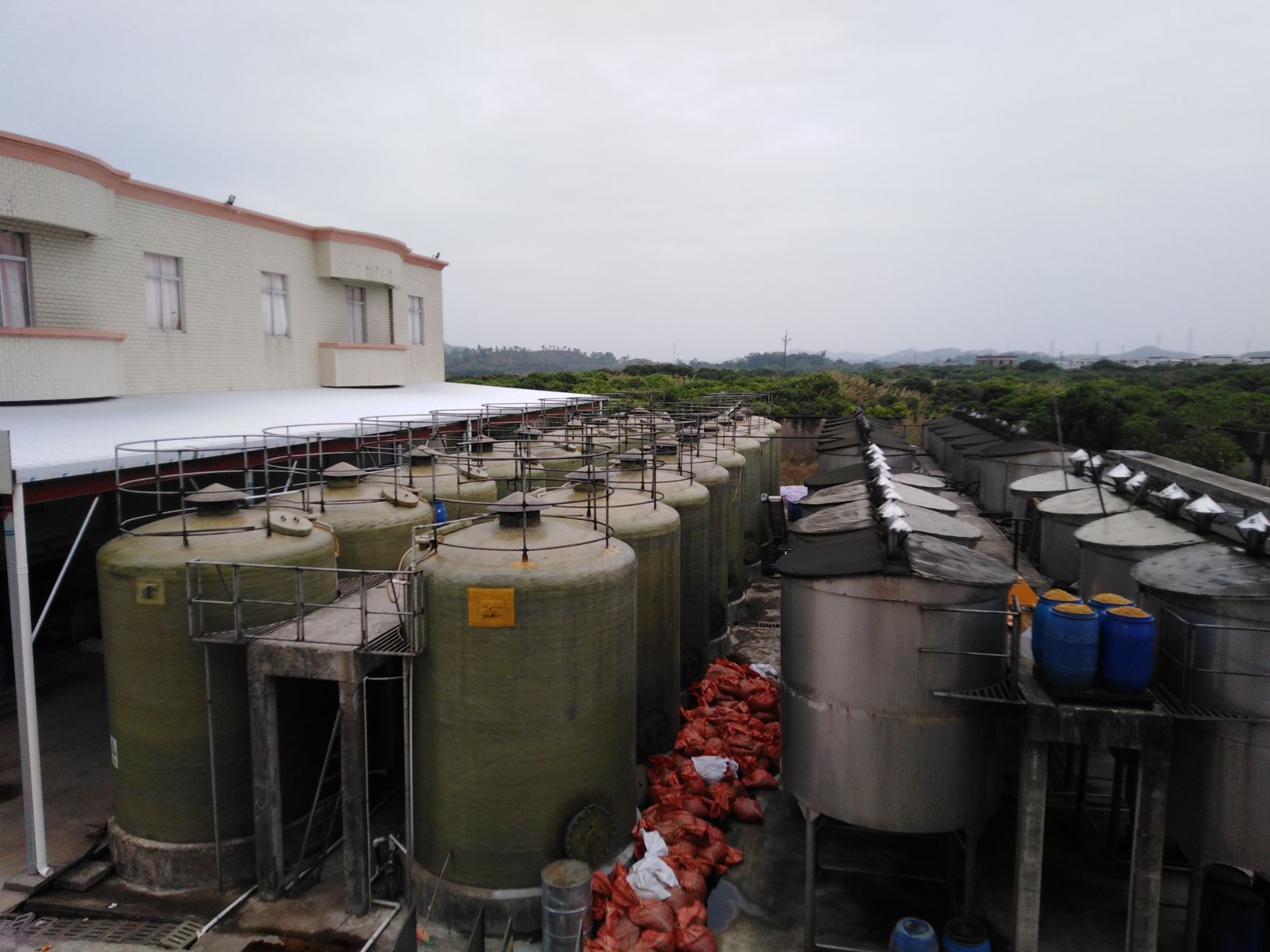 豆油(土酱油) 酿造 