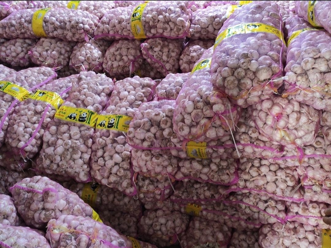 金乡大蒜  精品大蒜