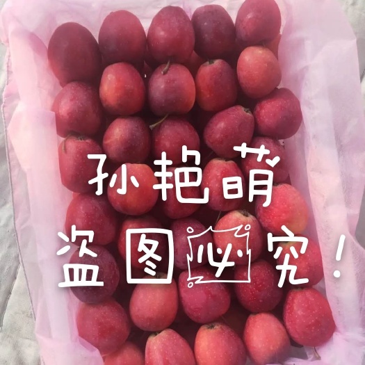 开原市辽宁鸡心果（锦绣海棠果）上市。常年批发代收。产地直发。