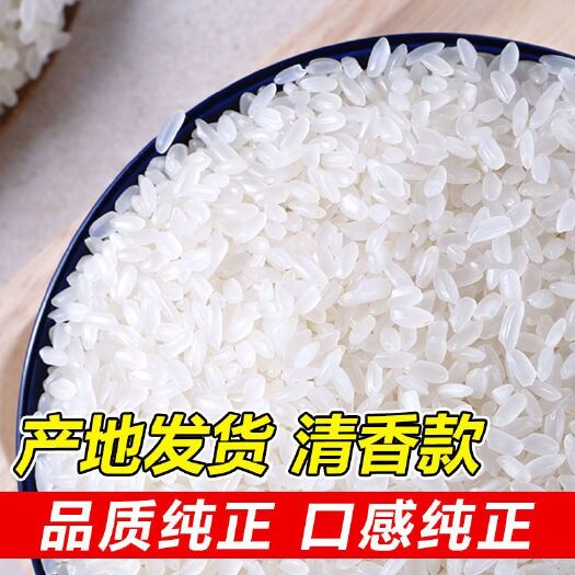 鸡西圆粒大米 一件代发 新米正宗盘锦大米5斤10斤20斤蟹田米圆粒香米包邮