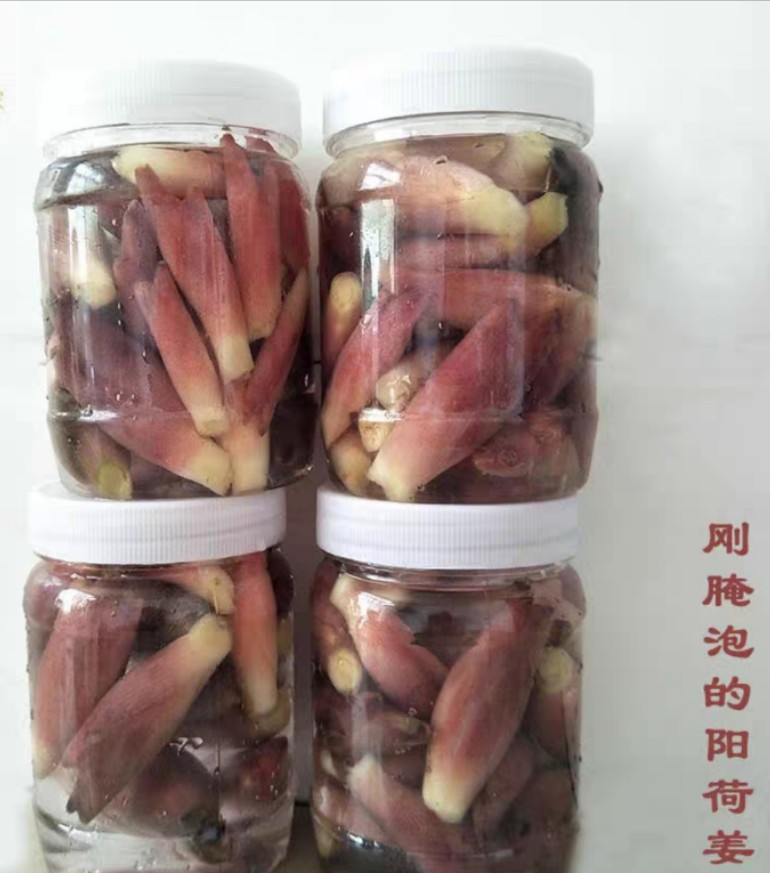 泡菜  爱心助农湖北洋荷