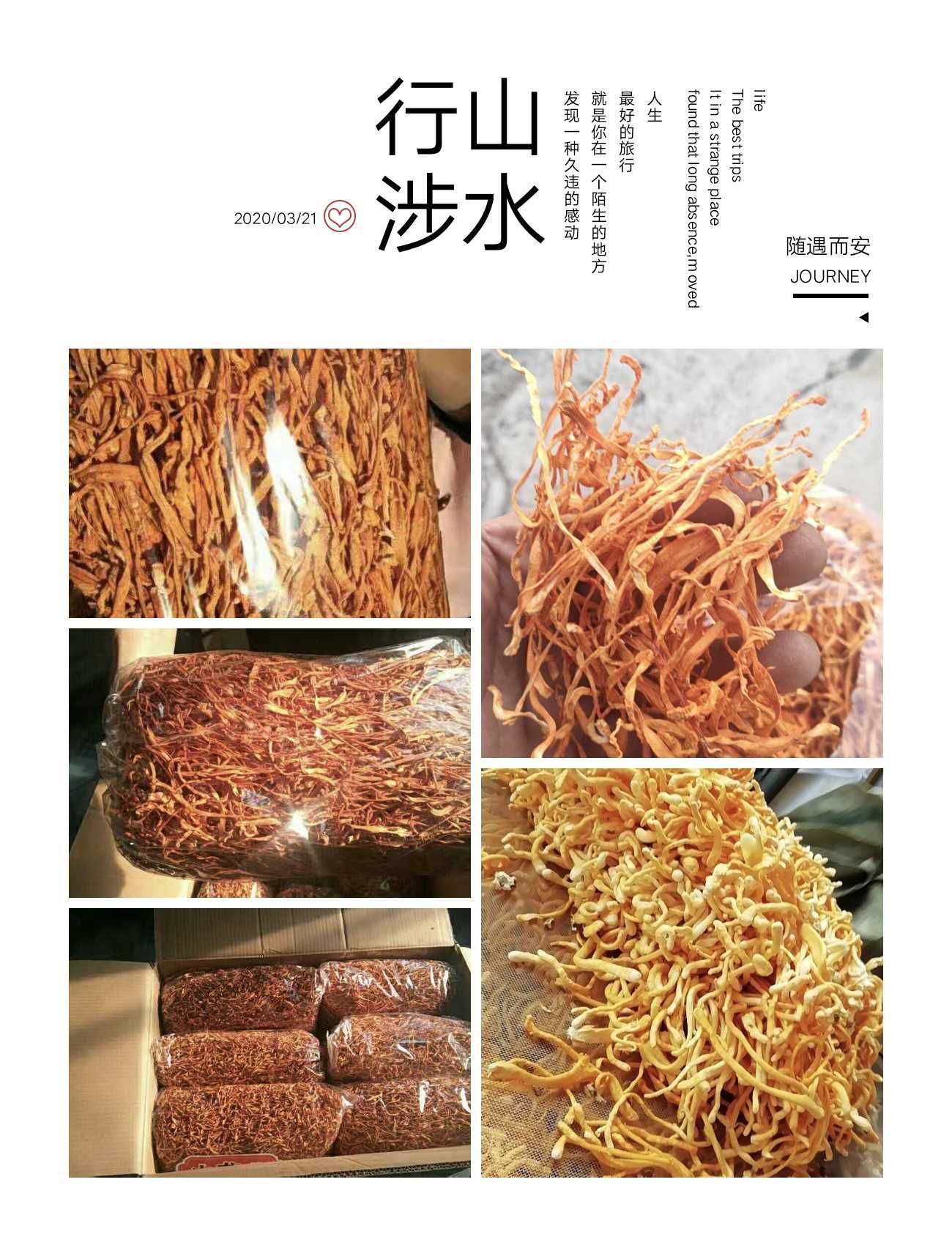 【一袋二斤散草中粗条】，颜色金黄，干度，干净度都好，