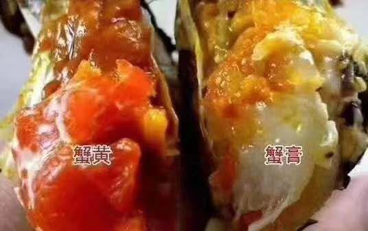 合肥无为大闸蟹  螃蟹精品出售，塘口直供