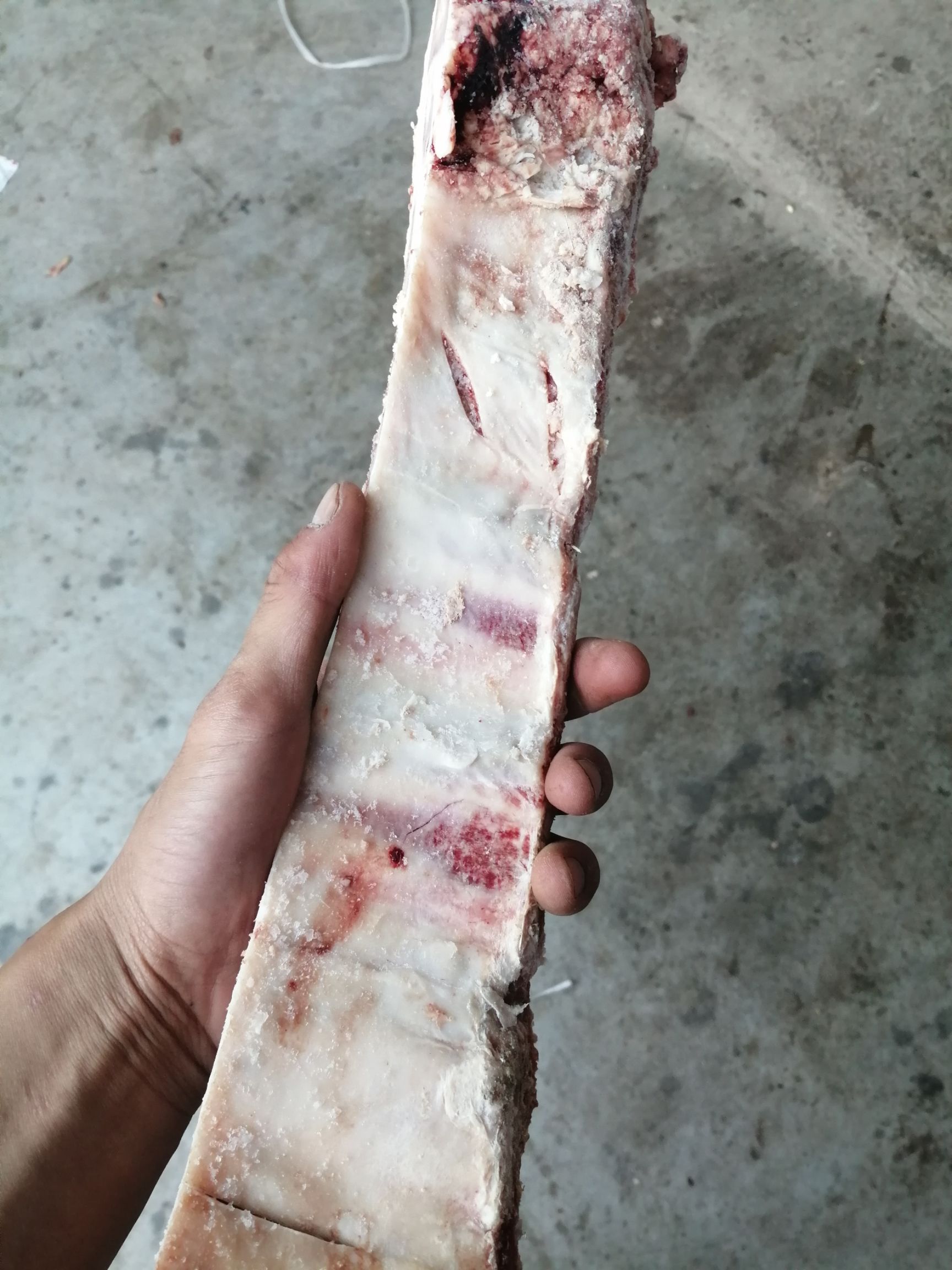 牛肋骨 纯牛肋排
