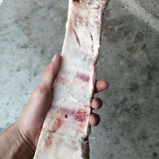 牛肋骨 纯牛肋排
