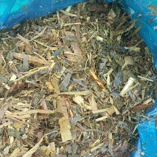南阳玉米秸秆  牛羊清储饲料