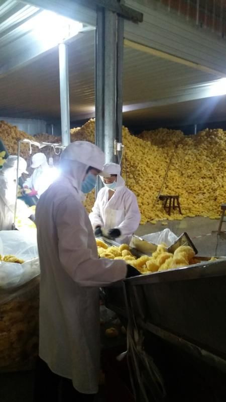 古田银耳  10cm以下规格古田农产品特产干货大花雪耳银耳10斤散装批发