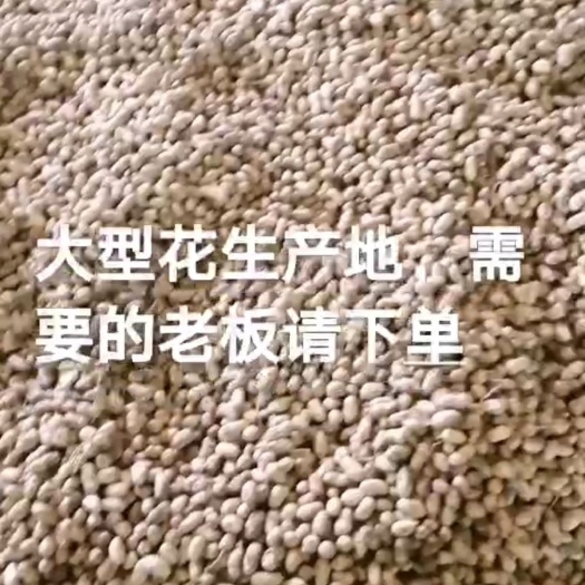 三明鲜花生 花生
