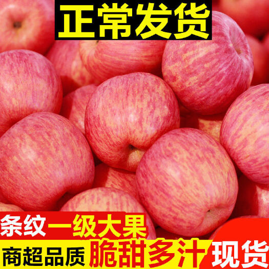 2023年应季新鲜现摘山西红富士苹果5/10斤脆甜红丑苹果