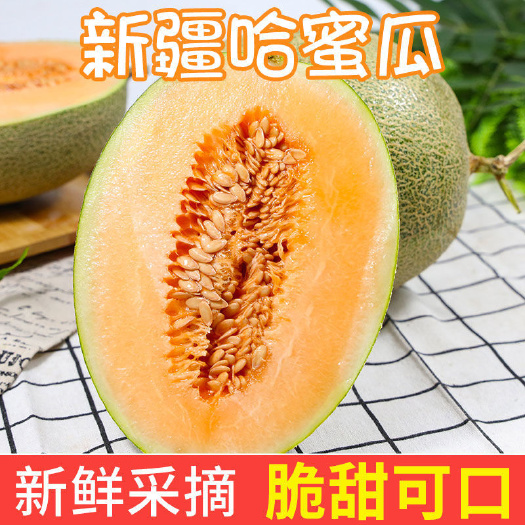 西安西州蜜  【甜多汁】现摘新疆哈密瓜10斤新鲜水果网纹瓜甜蜜