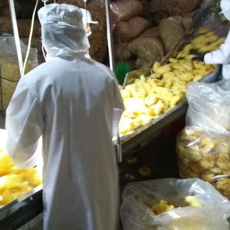 古田县古田银耳  包邮 古田白小花银耳无熏硫白木耳500克  食用菌厂家直销