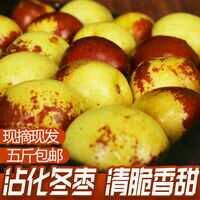 滨州沾化冬枣  沾化富硒冬枣脆枣鲜红枣新鲜枣子鲜大枣当季水果脆冬枣水果批发