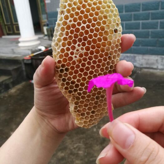 建德市 自家院子正宗土蜂蜜
（公公是十几年老蜂农，价廉物美）