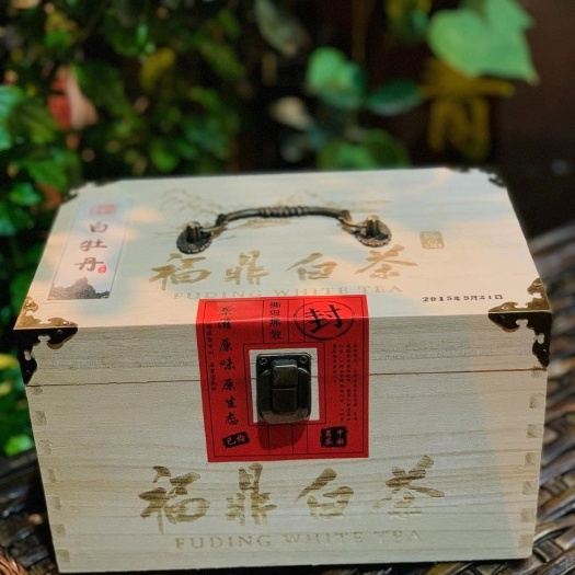 威海白牡丹茶  白牡丹