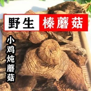 沈阳蘑菇 东北榛蘑