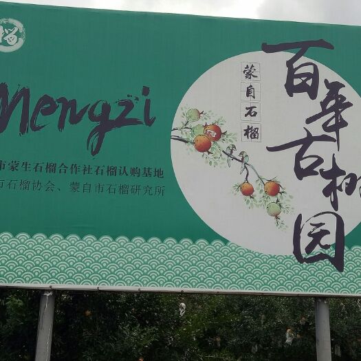 蒙自市 云南蒙自石榴个大汁多口感非常好含有多重维生素，植物蛋白，等等
