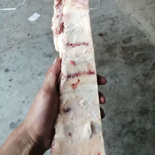 牛肋骨 纯牛肋排