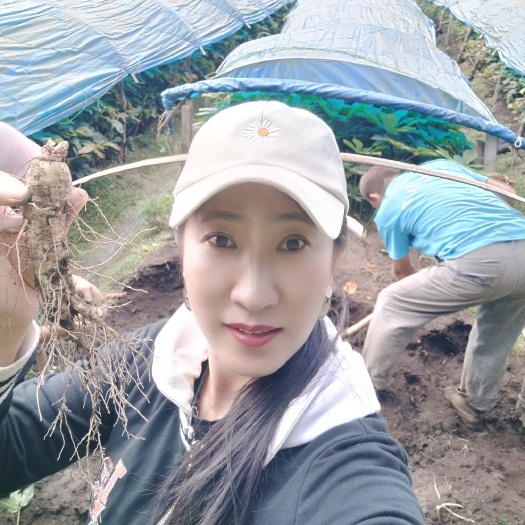 宾县种植参  自己家种的西洋参价格超便宜，有意者请与我联系