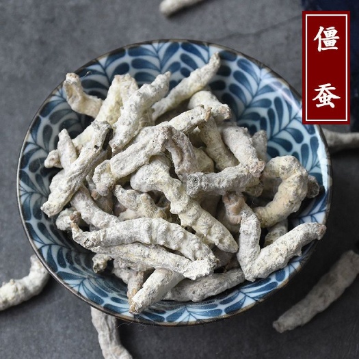 安国市僵蚕  四川（正品）干净 无增重 高含量（生 炒）