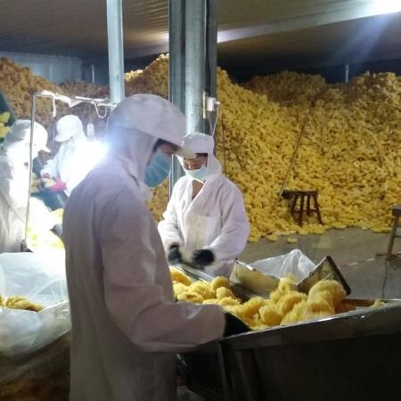古田县古田银耳  10cm以下规格古田农产品特产干货大花雪耳银耳10斤散装批发