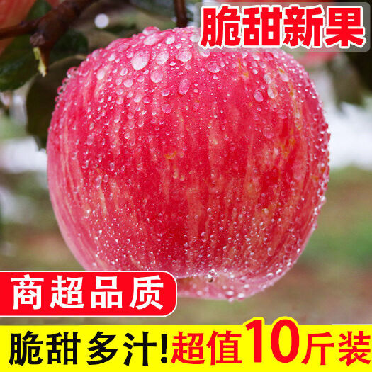 【精选】山西红富士苹果水果新鲜5/10斤脆甜冰糖心整箱包邮