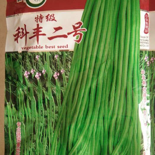 厦门豆角种子  科丰二号 中早熟、高产、稳产、耐低温，结荚多肉商品性好