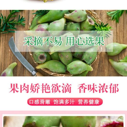 儋州市仙人掌果 