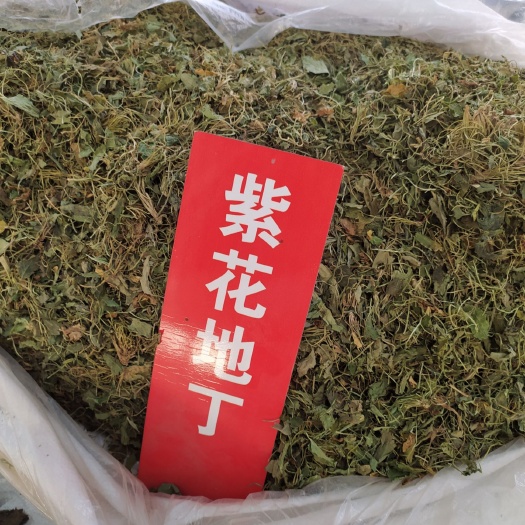 亳州苦地丁 紫花地丁