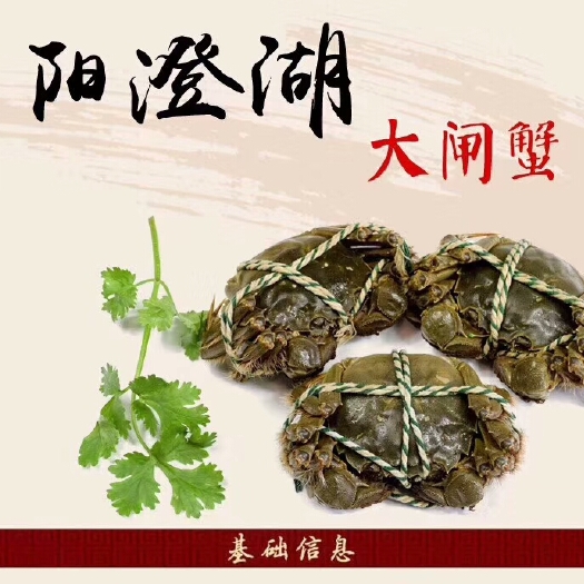 昆山市阳澄湖镇大闸蟹  阳澄湖镇生态大闸蟹人品第一品质保证公4两母3两十个装