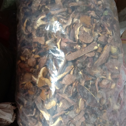 合肥美味牛肝菌 干牛肝菌 