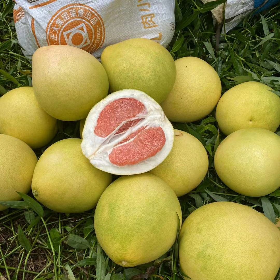 平和蜜柚 蜜柚正式接单，欢迎订购！