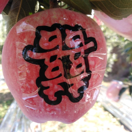 万荣县红星苹果 中秋艺术果，家有囍事艺术果