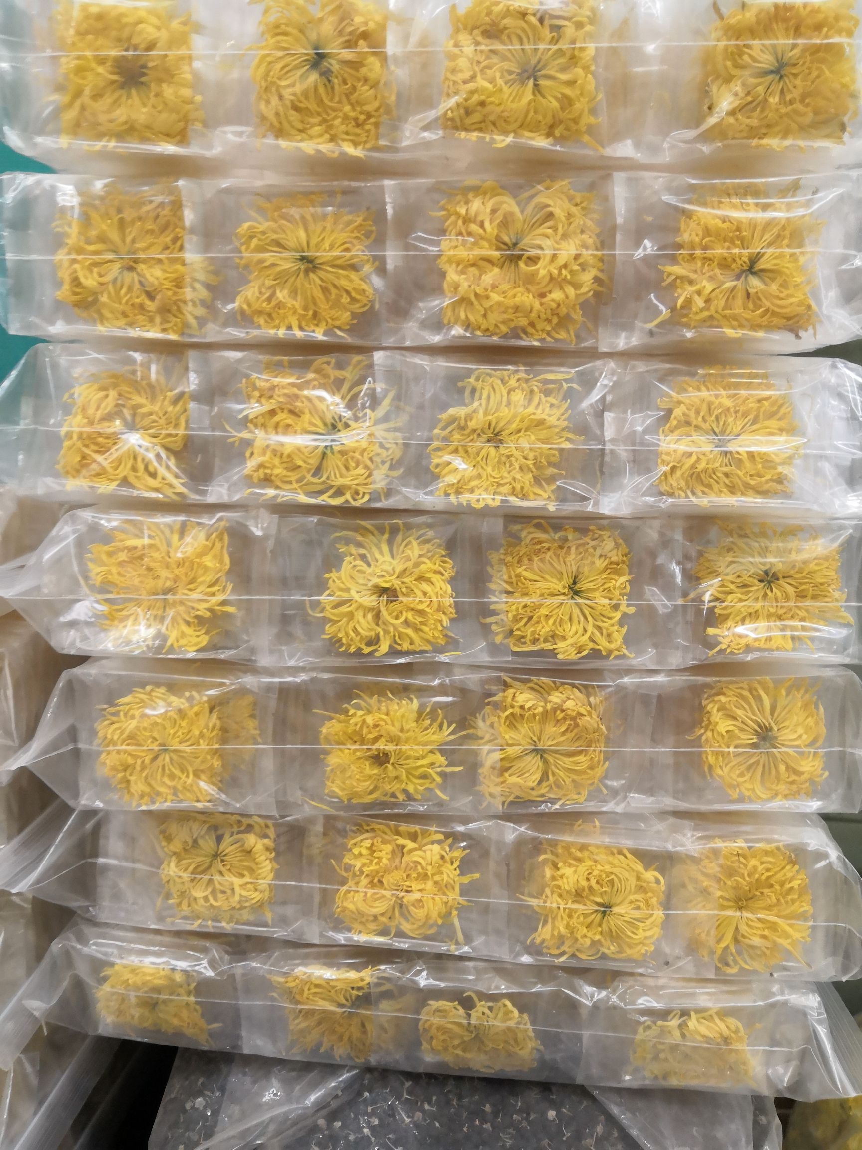 菊花茶  金丝皇菊 无硫 新货产地直销 量大价优